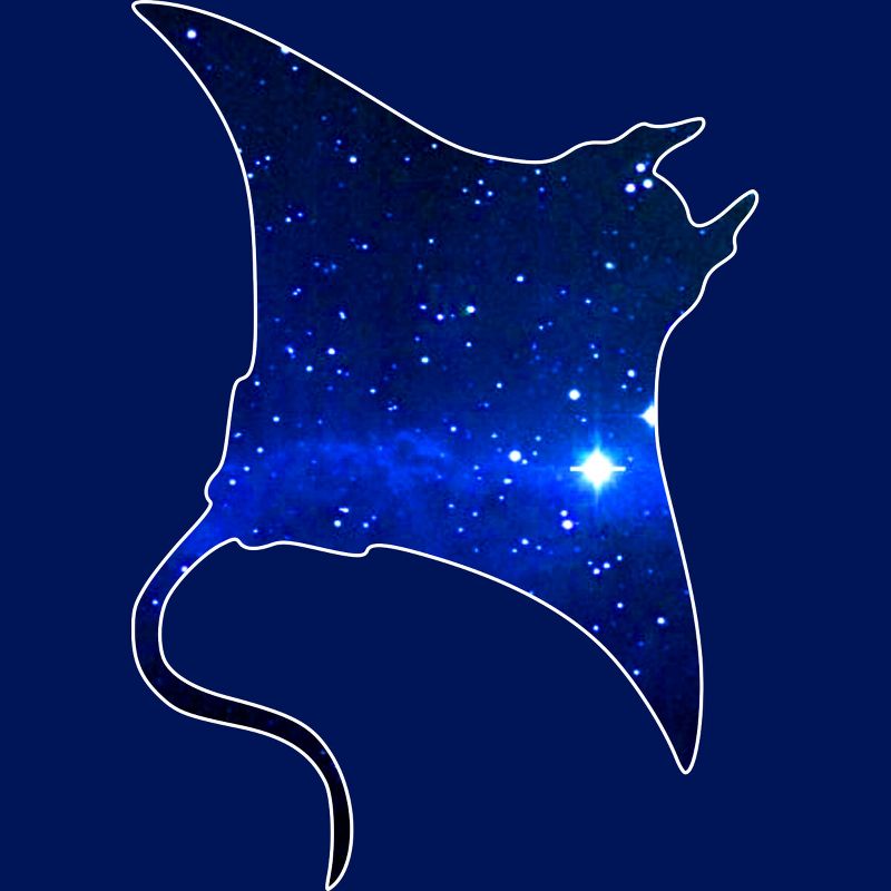 Junior's Design By Humans Space Manta Ray By Shrenk T-Shirt, 2 of 4
