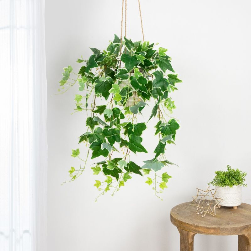 Northlight 31.5" Ivy Floral Artificial Hanging Spring Floral Bush - Green/White, 2 of 7