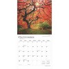 BrownTrout 2025 Wall Calendar 12"x12" The Majesty of Trees - image 4 of 4