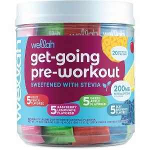 Wellah Get-Going Pre-Workout Variety Pack – 20 Sticks, 200mg Caffeine, Stevia-Sweetened, Fruit Punch, Raspberry, Green Apple, Blue Raspberry - 1 of 4