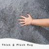 2x3 Fluffy Rug for Bedroom, Kids Room, Baby Room, Small Area Rug, Soft Rug - 3 of 4
