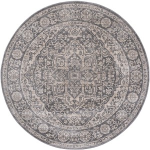 Brentwood BNT832 Power Loomed Indoor Rugs - Safavieh - 1 of 4