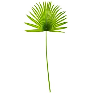 Nearly Natural 33-in Fan Palm Artificial Spray Plant (Set of 6) - 1 of 1