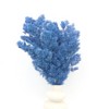 Alilang Decorative Dried Fine Leaf Stems for Home Decoration and Floral Arrangements, 17.7 Inches - 3 of 3