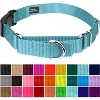 Country Brook Petz Heavy Duty Nylon Martingale Dog Collar with Deluxe Buckle - 30+ Vibrant Color Options - 2 of 4