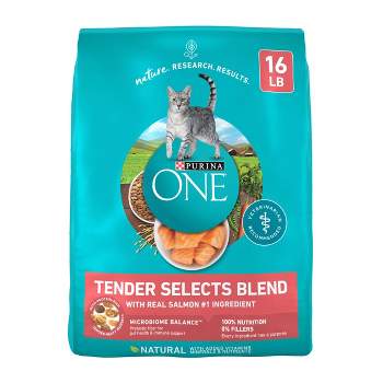 Purina ONE Tender Selects Natural Dry Cat Food with Real Salmon & Fish