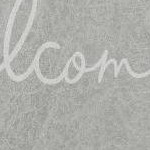 grey welcome/grey feather