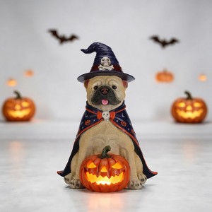 owl デモ3枚セット RE:BONE FLAP BOO!! MAYEERTY Halloween Bulldog Witch Statue with LED Light Up Jack O