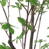 Maggift Artificial Plant Artificial Disc Leaf Tree Indoor Floor Greenery Potted Real Touch Decorative Black Pot, Green, 35.4"*35.4"*70.9" - 4 of 4