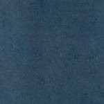 blue indigo
