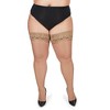 Memoi Curvy Silky Sheer Lace Top Thigh High Stocking - image 2 of 2