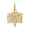 Black Bow Jewelry 14k Yellow Gold Small D/C RN Nurse Charm or Pendant, 11mm (7/16 Inch) - 3 of 4