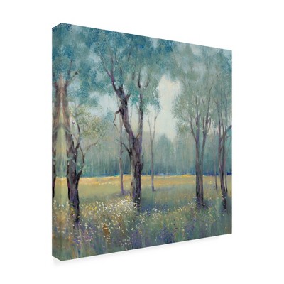 Trademark Fine Art -Tim Otoole 'Thin Morning Mist' Canvas Art