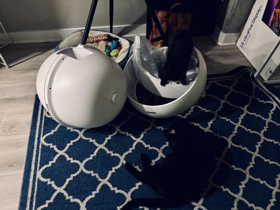 Guest review image 3 of 3, zoom in