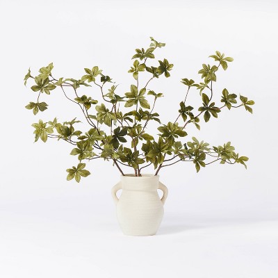 5.5" x 3" Artificial Branch Plant Arrangement in Ceramic Pot - Threshold™ designed with Studio McGee