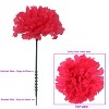Floral Home 5" Stem Long Fuchsia Carnation Pick - 100-Piece - 3 of 4