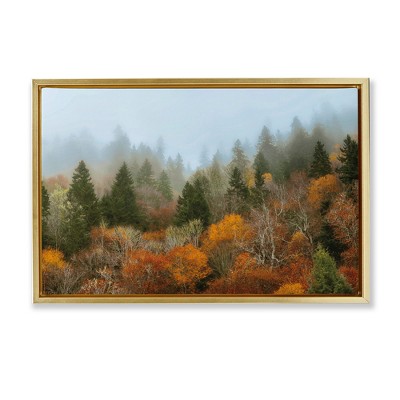 Stupell Industries Autumn Mountain Overview Floating Frame Canvas Art
