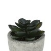 Unique Bargains Artificial Plants Pistachio in Mini Pulp Plastic Green 3.15"x3.15"x3.15" 1 Pcs - 4 of 4