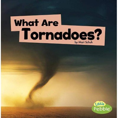 What Are Tornadoes? - (Wicked Weather) by  Mari Schuh (Paperback)