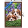 Trends International Keith Kimberlin - Cavalier King Charles Puppies Framed Wall Poster Prints - 3 of 4