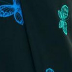 black ombre butterfly