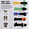 Nocciola 5 PCS Halloween Dog Squeaky Toys,Christmas gift,No Stuffing Plush Dog Toys with Crinkle Paper, Small, Medium and Large Dogs - 4 of 4
