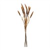 Fall Foxtail Grass Bundle (Set of 6) - 2 of 2