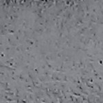 gray frosted
