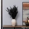 Uniquewise Preserved Real Floral Stems Chic Vase Fillers & Accents for Bouquets Centerpieces - 2 of 4