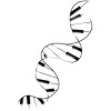Women's Design By Humans DNA Piano By Tobiasfonseca Racerback Tank Top - 2 of 3