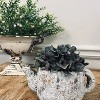 Slickblue Rustic Cement Teapot Flower Planter, Multi-Purpose Decorative Pot for Succulents or Flowers, 7.87"x5.1"x4" - 4 of 4