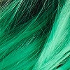 Adult Premium Wig Green Sorceress - Hyde and EEK! Boutique™ - 2 of 3