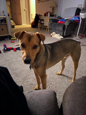 Guest review image 2 of 3, zoom in