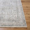 Livabliss Edmonton Woven Indoor Area Rugs - 3 of 4