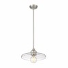 Z-Lite Paloma 1 - Light Pendant in  Brushed Nickel - 4 of 4