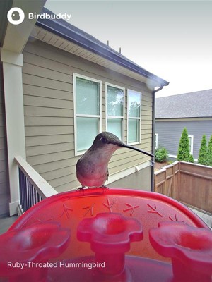 Guest review image 3 of 6, zoom in