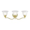 Livex Lighting Essex 3 - Light Vanity in  Polished Brass - 3 of 4
