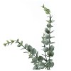 Vynxaria Artificial Plant, 44" Tall, Eucalyptus Tree, Indoor, Faux, Fake, Floor, Greenery, Potted, Real Touch, Decorative, Green Leaves, Black Pot - 3 of 4