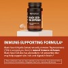 Black Seed Oil Capsules + Ginger Root Extract for Digestive Health & Immune Support, Cold Pressed Black Cumin Seed Oil & Ginger, Havasu Nutrition 60ct - 4 of 4