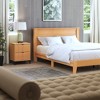 Galano Zaffy 2 Drawer Nightstand (18.9" W x 15.7" D x 23" H) in Dusty Gray Oak, Knotty Oak, Amber Walnut, Dark Gray Oak - 3 of 4