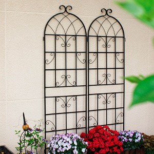 Aghana Digitals 2-Pack 71"x19.7" Rustproof Metal Garden Trellis for Climbing Plants - Sturdy - 1 of 4