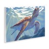 Stupell Industries Deep Ocean Sea Turtle Wall Plaque Art - 2 of 4
