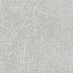 grey feather