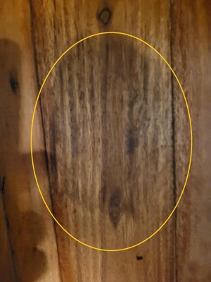 Guest review image 1 of 1, zoom in