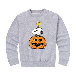 Boys' - Peanuts - Snoopy Woodstock Pumpkin Graphic Long Sleeve Fleece Sweatshirt - 1 of 4