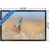 Trends International The Comedy Wildlife Photography Awards: Anup Deodhar - Rockstar Framed Wall Poster Prints - 3 of 4