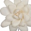 Vickerman 4" Natural Botanicals Dried Sola Flower on Wire Stem - 3 of 4