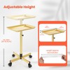 TASALON Adjustable Salon Tray with 10 Plastic Films - Gold - 2 of 4