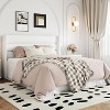 Allewie Velvet Lift Up Storage Bed, Modern Wingback Headboard, Hydraulic Support, No Box Spring Needed - 4 of 4