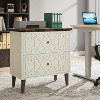 Tribesigns Wooden 2 Drawer Lateral File Cabinet - 3 of 4